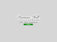 promisehill.com