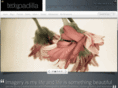 rebeccapadilla.com