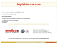 big4airliecove.com