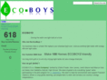 ecoboyz.com