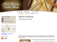 mintspringframeshop.com