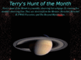 terryshuntofthemonth.com