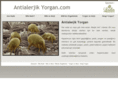 antialerjikyorgan.com