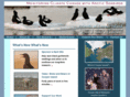 cooperisland.org