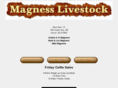 magness.info