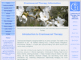 craniosacral-therapy-information.org.uk