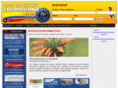 dtcolombiano.com