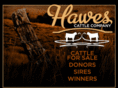 hawescattle.com