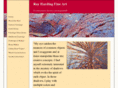 rayhardingart.com