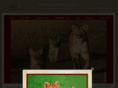 rooseveltexpedition.com