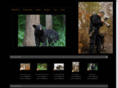 bfaanesphotos.com