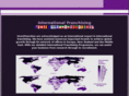 how2franchiseinternational.com