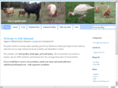 jollybarnyard.com