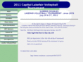 lakefairvolleyball.com