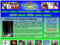 magicalmidway.com