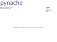 pynache.com
