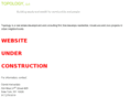 topologyllc.com