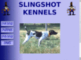 slingshotkennels.net