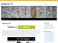 wallmount-tv.com