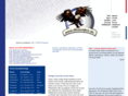diewerfer.de