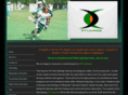 ivylacrosse.com