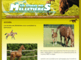 lesecuries-lesmelletieres.com