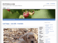 petporch.com