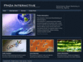pm2a-interactive.com