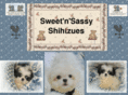 sweetnsassyshihtzues.com