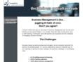 the-business-consultant.com
