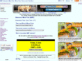 world-time-zones-clock.com