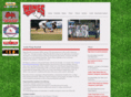 austinwingsbaseball.com