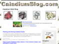 caladium-bulbs.com