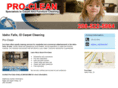 callproclean.com