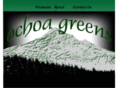 ochoagreens.com