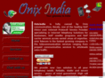 onixindia.com