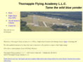 thornapple-flying.com