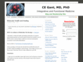cegant.com