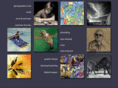 geckographics.com