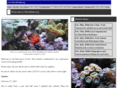 hawkfish.org