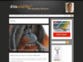 howtodrawwildlife.com