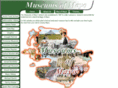 museumsofmayo.com