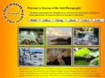 seasonsofthesoulphotography.com