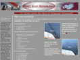 drpaintchip.com