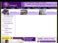 fengyixm.com