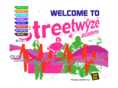 streetwyze.org