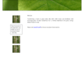 transformgreen.com