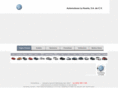 vwmorelia.com