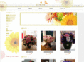 zenithflower.com