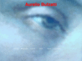 aureliobulzatti.com